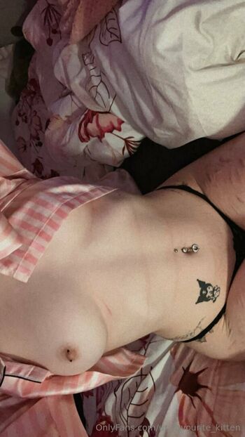 ur_favourite_kitten