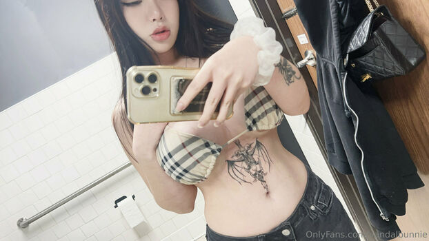 vandalbunnie