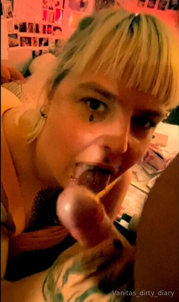 vanitas_dirty_diary