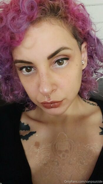 vanpsuicide
