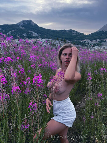 velvet_tat