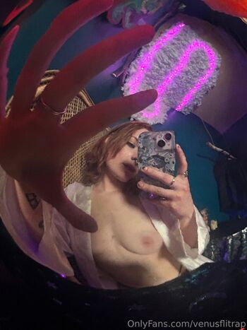 venusflitrap