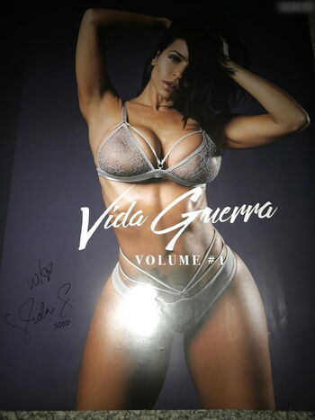 Vida Guerra