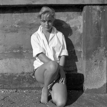 Vintage Sexy Celebs