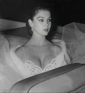 Vintage Sexy Celebs