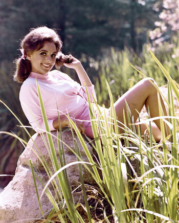 Vintage Sexy Celebs