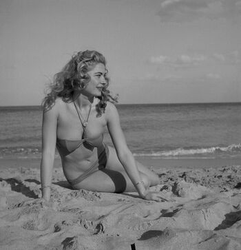 Vintage Sexy Celebs