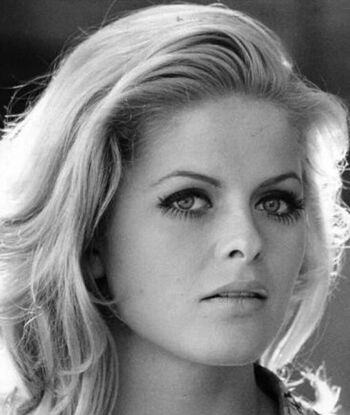 Vintage Vidsvarious Xxx