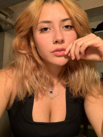 Vivi Alto