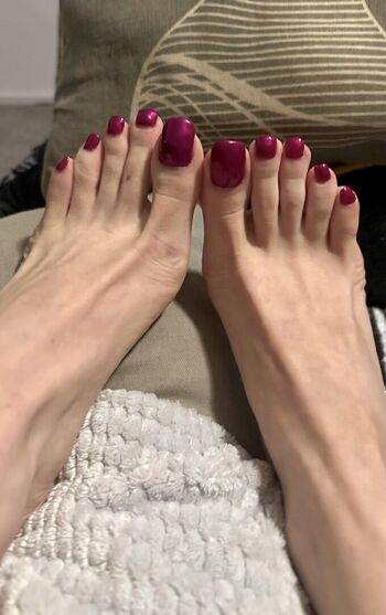 vixen.arches