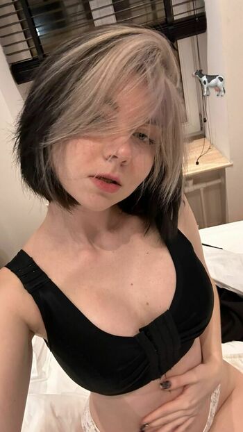 Vixenp