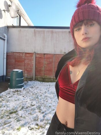VixensDestiny