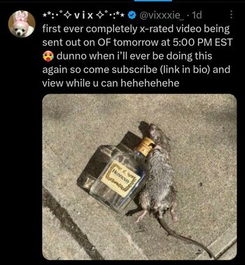 vixxxie