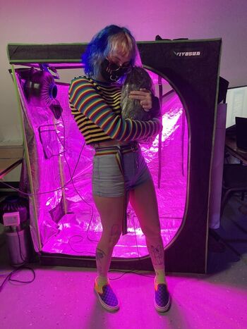 voidxway
