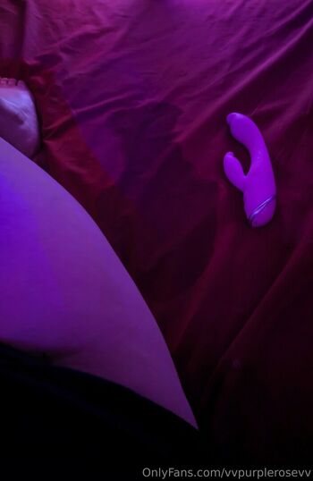 vvpurplerosevv