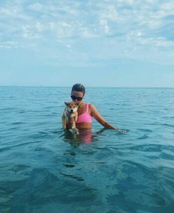 Wallis Day