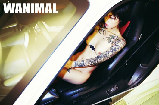 Wanimal Models