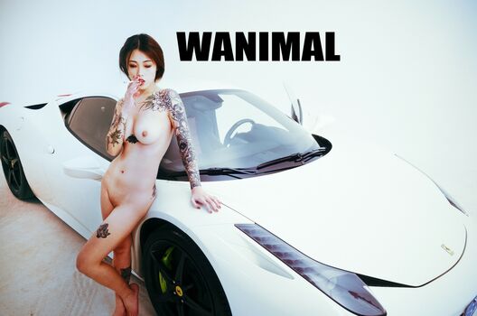 Wanimal Models