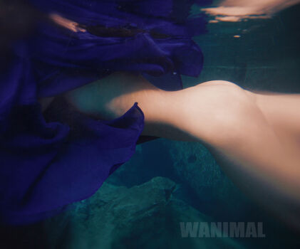 Wanimal Models