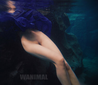 Wanimal Models