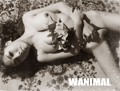 Wanimal Models