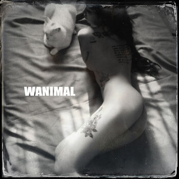 Wanimal Models