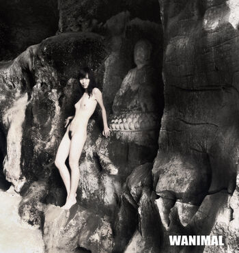 Wanimal Models