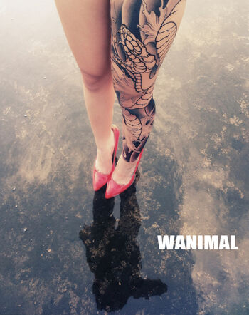 Wanimal Models