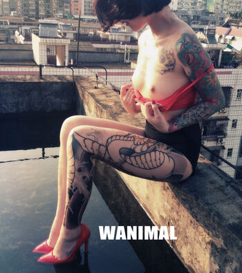 Wanimal Models