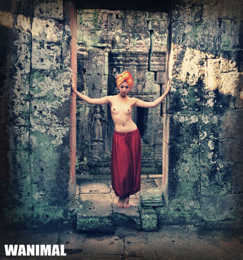 Wanimal Models