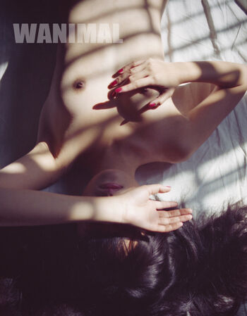 Wanimal Models