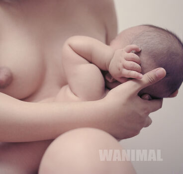 Wanimal Models