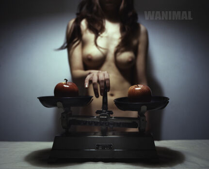 Wanimal Models