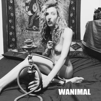 Wanimal Models