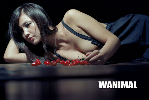 Wanimal Models