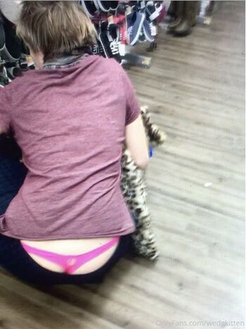 wedgkitten