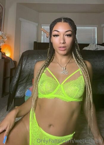 wetkittybri