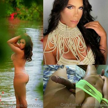 wettrans
