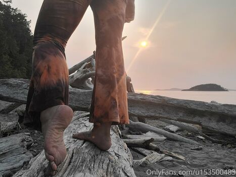 wildsoles84