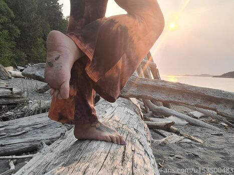wildsoles84