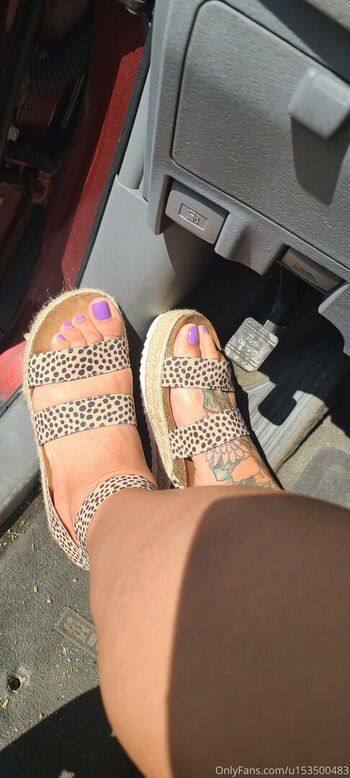 wildsoles84