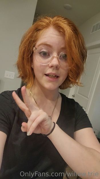 Willow.trie