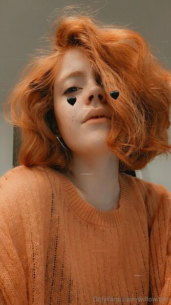Willow.trie