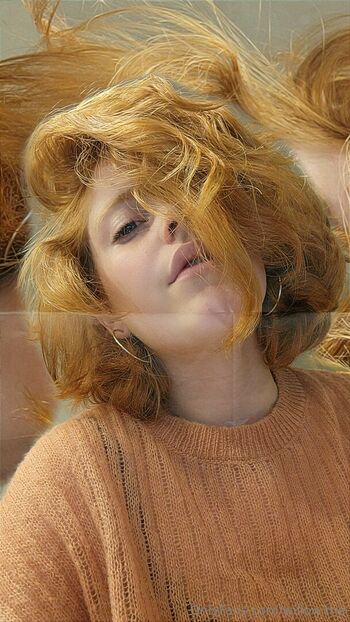 Willow.trie