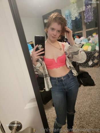 Willow.trie