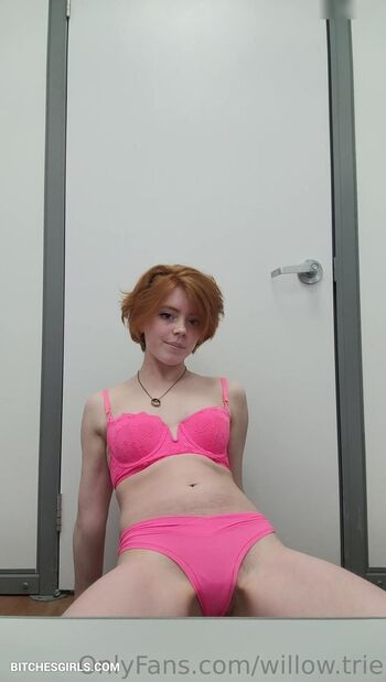 Willow.trie