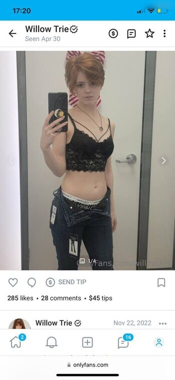 Willow.trie