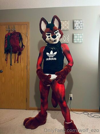 wolf_ezo