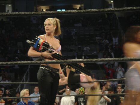 WWE Michelle McCool