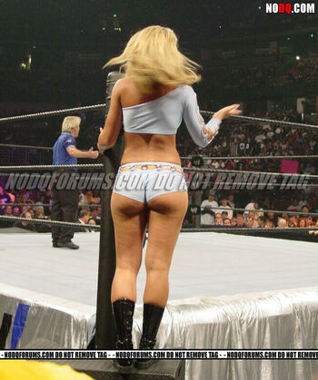 WWE Michelle McCool